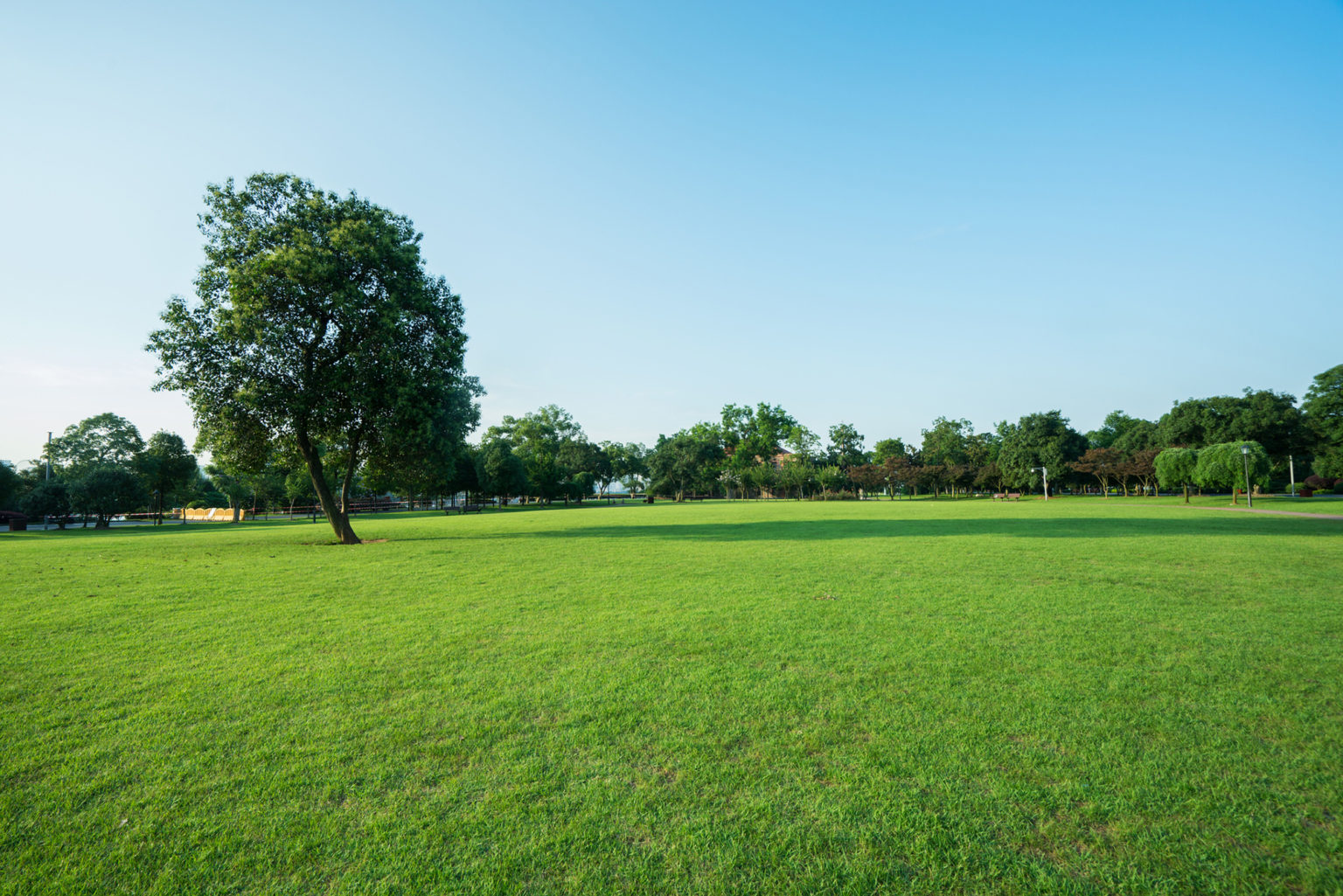 Buying a Countryside Plot - Build It