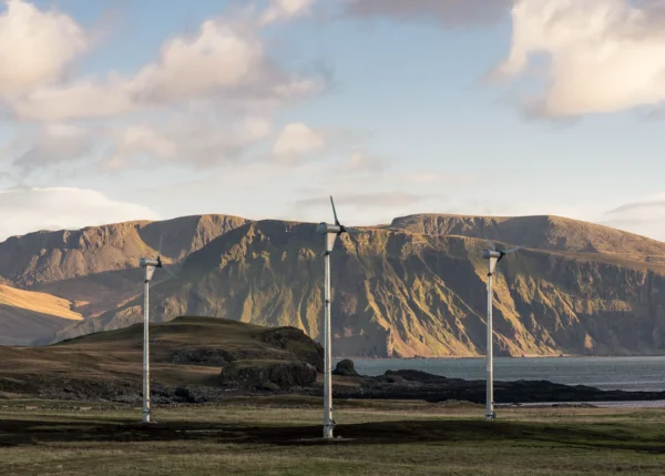 Domestic Wind Turbines: What Do You Need to Know?