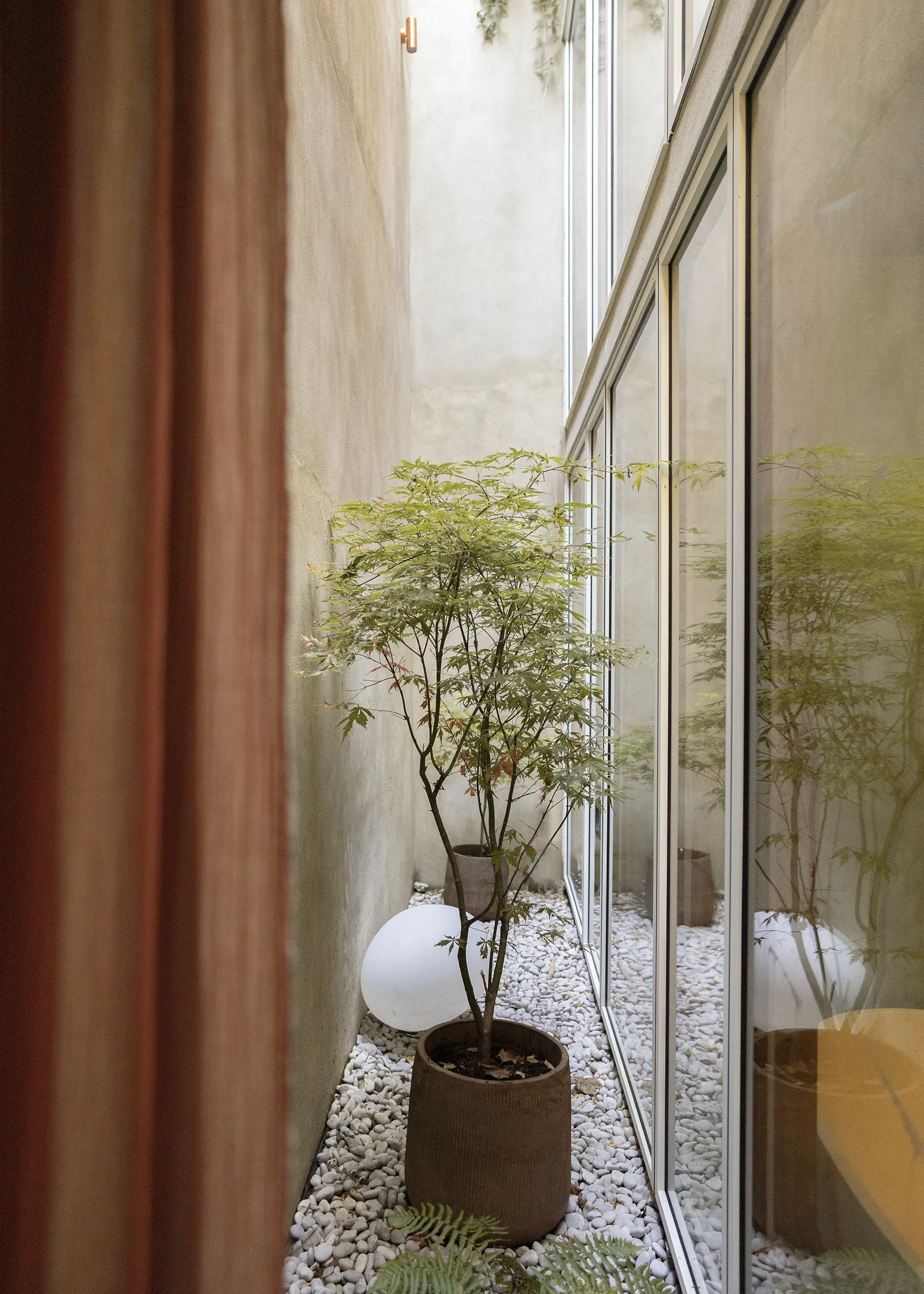 Basement Idea with a Light-Filled Glazed Courtyard